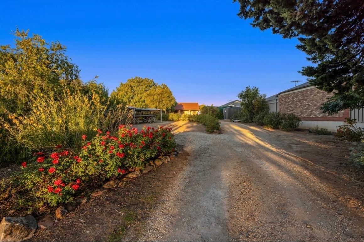 Langmeil Cottages Tanunda Kültér fotó