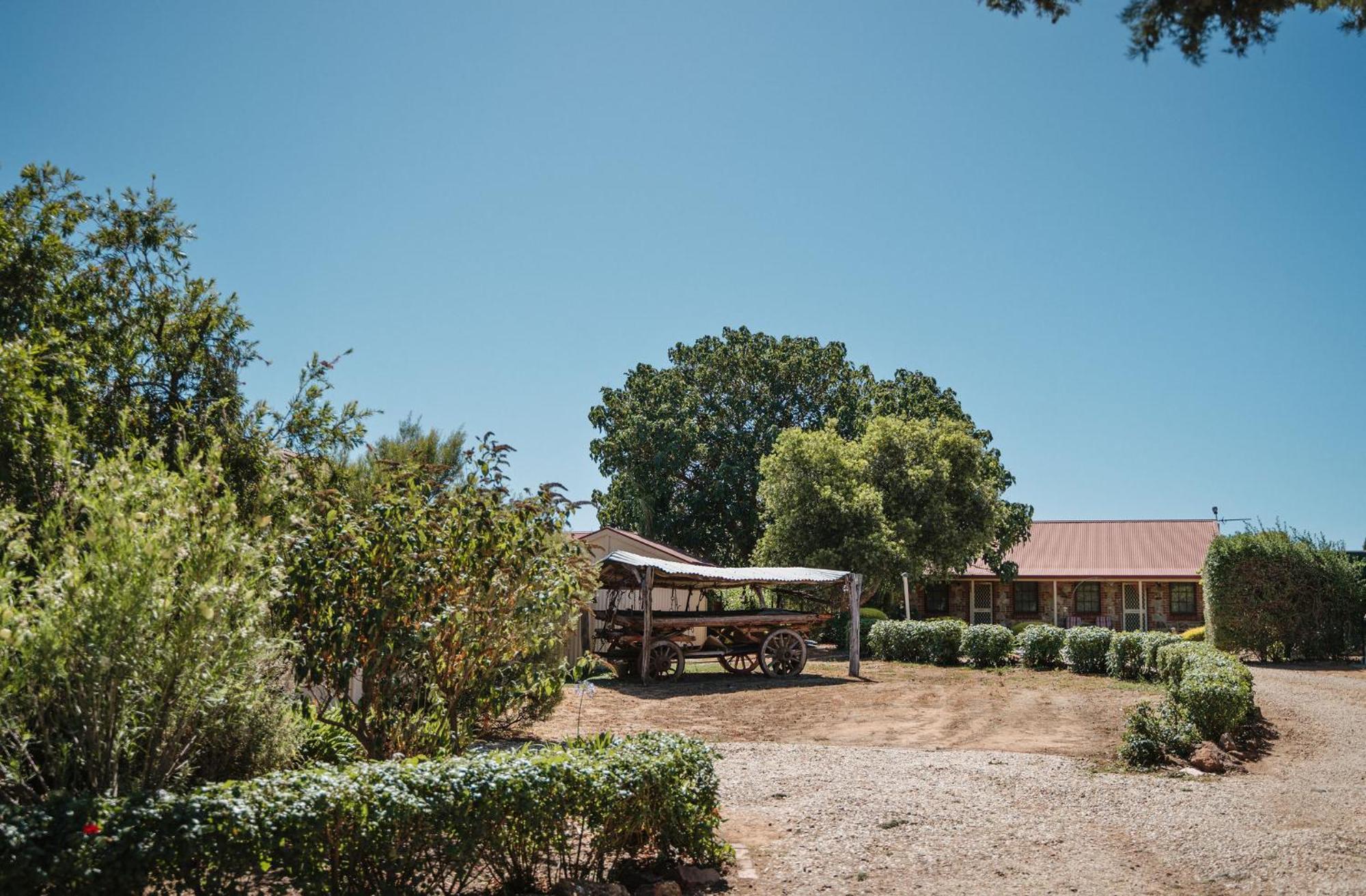 Langmeil Cottages Tanunda Kültér fotó